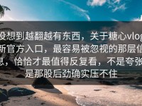 没想到越翻越有东西，关于糖心vlog新官方入口，最容易被忽视的那层信息，恰恰才最值得反复看，不是夸张，是那股后劲确实压不住