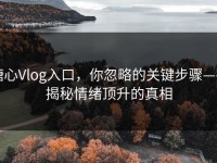 糖心Vlog入口，你忽略的关键步骤——揭秘情绪顶升的真相