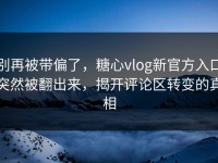 别再被带偏了，糖心vlog新官方入口突然被翻出来，揭开评论区转变的真相