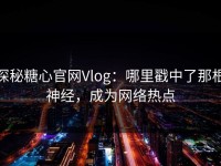 探秘糖心官网Vlog：哪里戳中了那根神经，成为网络热点