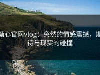 糖心官网vlog：突然的情感震撼，期待与现实的碰撞