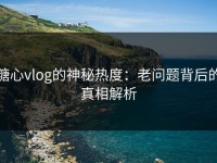 糖心vlog的神秘热度：老问题背后的真相解析