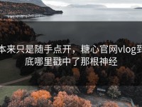 本来只是随手点开，糖心官网vlog到底哪里戳中了那根神经