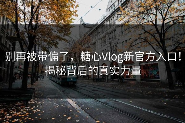 别再被带偏了，糖心Vlog新官方入口！揭秘背后的真实力量