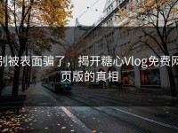 别被表面骗了，揭开糖心Vlog免费网页版的真相