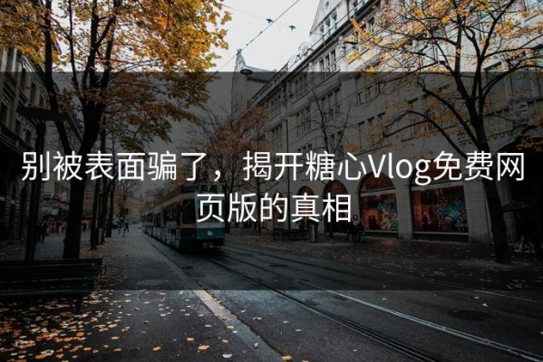 别被表面骗了，揭开糖心Vlog免费网页版的真相