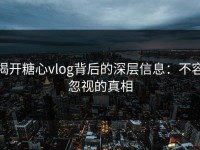 揭开糖心vlog背后的深层信息：不容忽视的真相