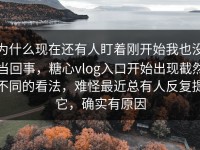 为什么现在还有人盯着刚开始我也没当回事，糖心vlog入口开始出现截然不同的看法，难怪最近总有人反复提它，确实有原因