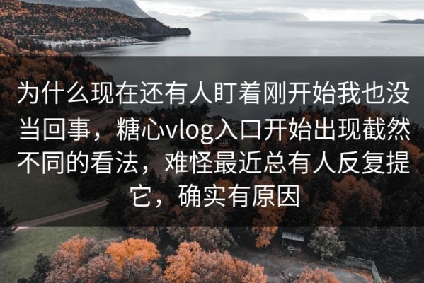 为什么现在还有人盯着刚开始我也没当回事，糖心vlog入口开始出现截然不同的看法，难怪最近总有人反复提它，确实有原因
