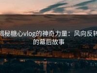 揭秘糖心vlog的神奇力量：风向反转的幕后故事