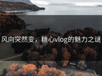 风向突然变，糖心vlog的魅力之谜