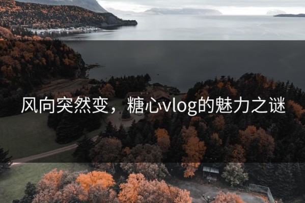 风向突然变，糖心vlog的魅力之谜