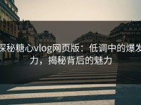 探秘糖心vlog网页版：低调中的爆发力，揭秘背后的魅力