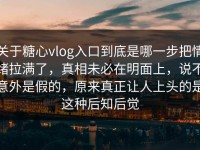 关于糖心vlog入口到底是哪一步把情绪拉满了，真相未必在明面上，说不意外是假的，原来真正让人上头的是这种后知后觉