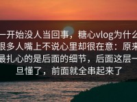 一开始没人当回事，糖心vlog为什么很多人嘴上不说心里却很在意：原来最扎心的是后面的细节，后面这层一旦懂了，前面就全串起来了