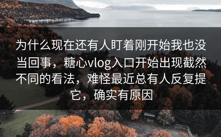 为什么现在还有人盯着刚开始我也没当回事，糖心vlog入口开始出现截然不同的看法，难怪最近总有人反复提它，确实有原因