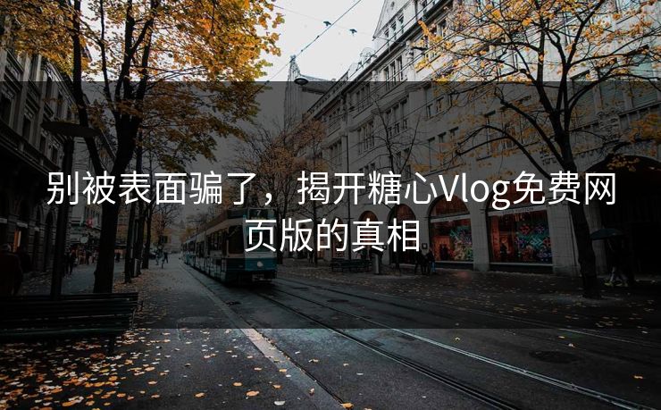 别被表面骗了，揭开糖心Vlog免费网页版的真相