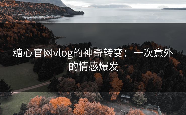 糖心官网vlog的神奇转变：一次意外的情感爆发