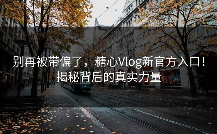 别再被带偏了，糖心Vlog新官方入口！揭秘背后的真实力量