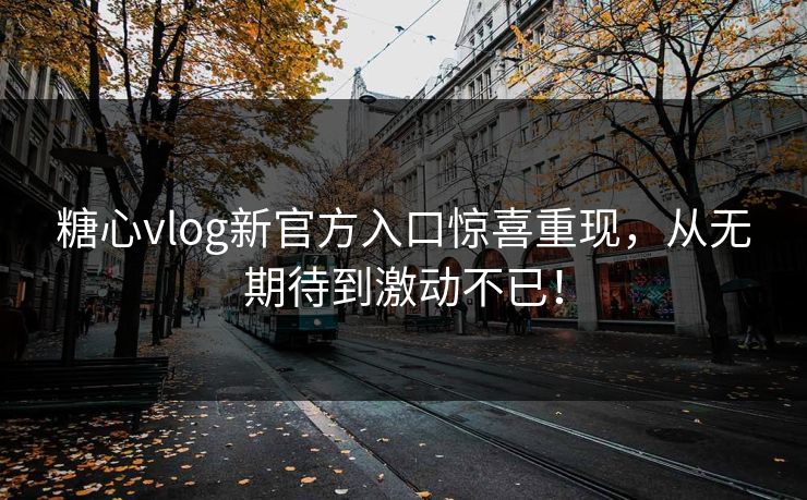 糖心vlog新官方入口惊喜重现，从无期待到激动不已！