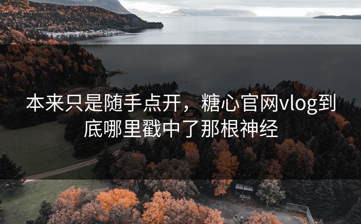 本来只是随手点开，糖心官网vlog到底哪里戳中了那根神经