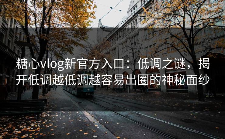 糖心vlog新官方入口：低调之谜，揭开低调越低调越容易出圈的神秘面纱