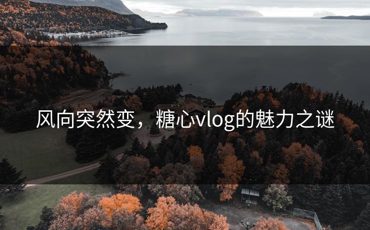 风向突然变，糖心vlog的魅力之谜