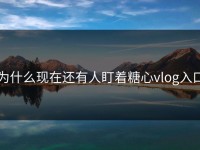 为什么现在还有人盯着糖心vlog入口