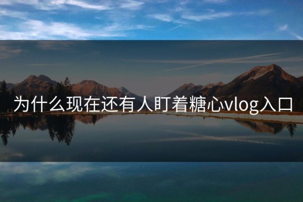 为什么现在还有人盯着糖心vlog入口