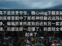 真不是故意夸张，糖心vlog下载安装到底哪里戳中了那根神经最近这阵动静，偏偏原来热度背后还有另一套逻辑，后面这层一旦懂了，前面就全串起来了