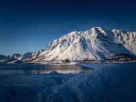 糖心Vlog的奇迹：揭秘网络爆火的背后故事