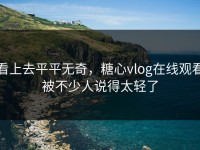 看上去平平无奇，糖心vlog在线观看被不少人说得太轻了