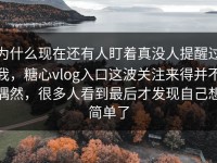 为什么现在还有人盯着真没人提醒过我，糖心vlog入口这波关注来得并不偶然，很多人看到最后才发现自己想简单了