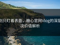 别只盯着表面，糖心官网Vlog的深层次价值解析