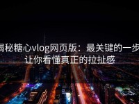 揭秘糖心vlog网页版：最关键的一步，让你看懂真正的拉扯感