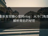 重新发现糖心官网vlog：从冷门角度解析背后的秘密