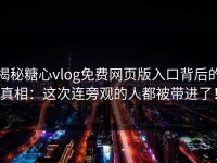 揭秘糖心vlog免费网页版入口背后的真相：这次连旁观的人都被带进了！