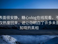 表面很安静，糖心vlog在线观看，不仅热度回来，还让你明白了许多未曾知晓的真相
