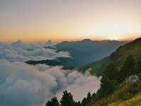 糖心官网的表象与现实：一次让你意外发现的难题