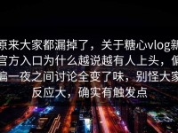 原来大家都漏掉了，关于糖心vlog新官方入口为什么越说越有人上头，偏偏一夜之间讨论全变了味，别怪大家反应大，确实有触发点
