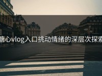 糖心vlog入口挑动情绪的深层次探索