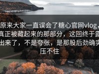 原来大家一直误会了糖心官网vlog，真正被藏起来的那部分，这回终于露出来了，不是夸张，是那股后劲确实压不住