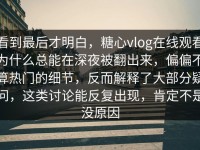 看到最后才明白，糖心vlog在线观看为什么总能在深夜被翻出来，偏偏不算热门的细节，反而解释了大部分疑问，这类讨论能反复出现，肯定不是没原因