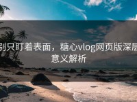 别只盯着表面，糖心vlog网页版深层意义解析
