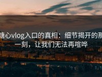 糖心vlog入口的真相：细节揭开的那一刻，让我们无法再喧哗