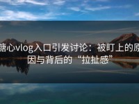 糖心vlog入口引发讨论：被盯上的原因与背后的“拉扯感”