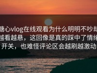 糖心vlog在线观看为什么明明不吵却越看越悬，这回像是真的踩中了情绪开关，也难怪评论区会越刷越激动