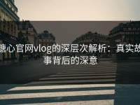 糖心官网vlog的深层次解析：真实故事背后的深意